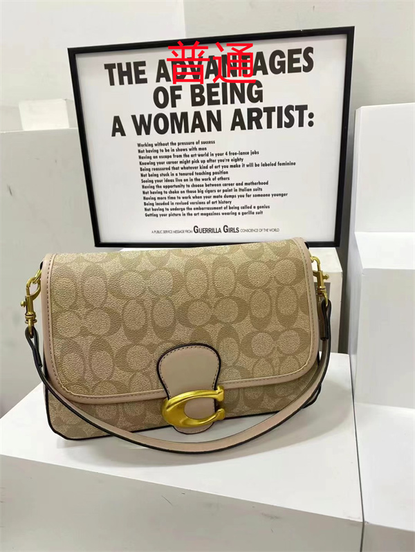 Coach small bag-1594