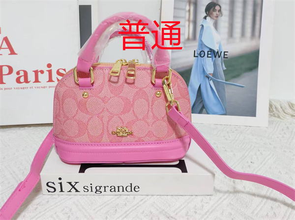 Coach small bag-1619