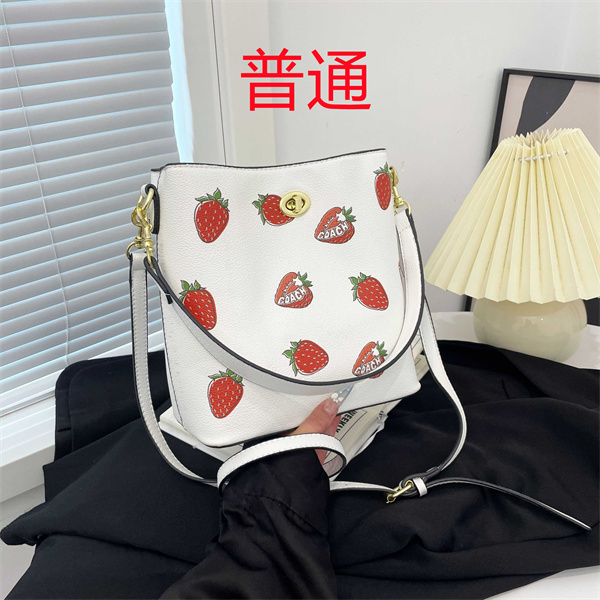 Coach small bag-1626