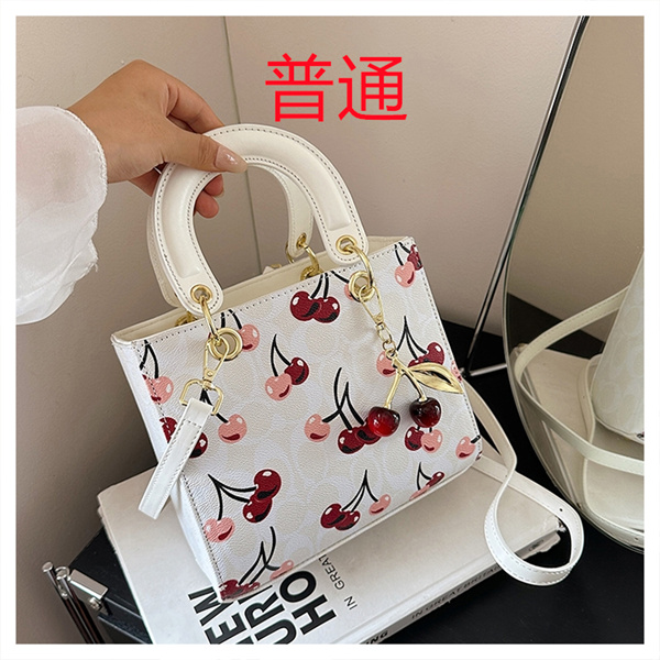 Coach small bag-1633