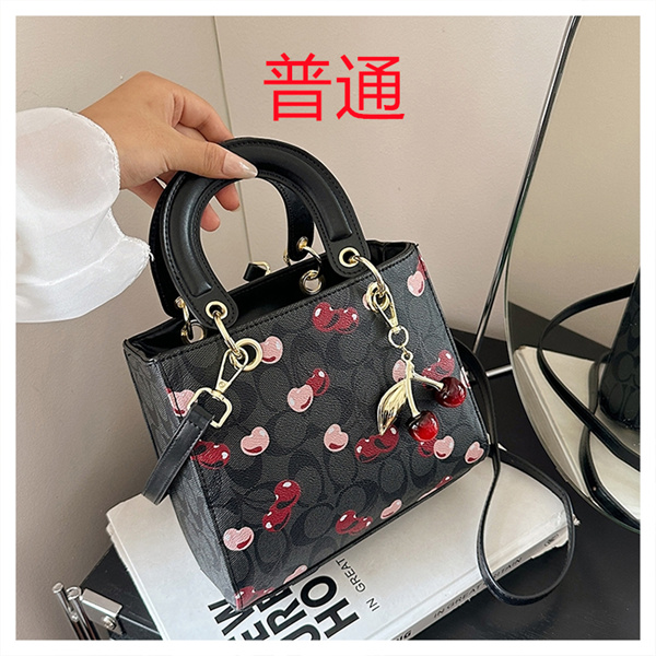 Coach small bag-1635