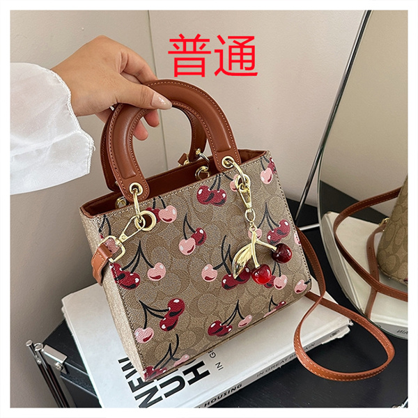 Coach small bag-1636