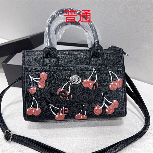 Coach small bag-1665