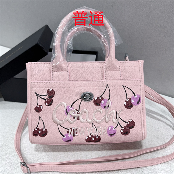 Coach small bag-1666