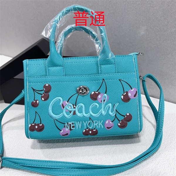 Coach small bag-1668