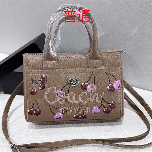 Coach small bag-1669