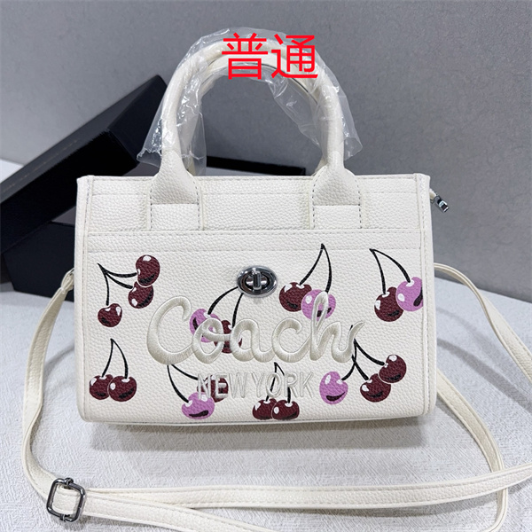 Coach small bag-1670