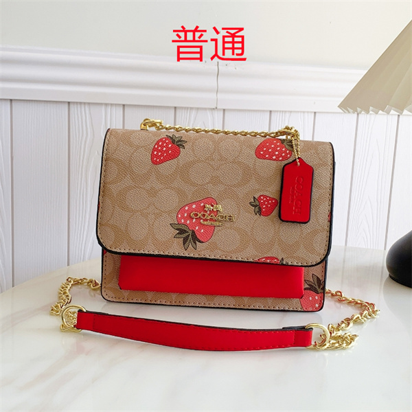 Coach small bag-1680