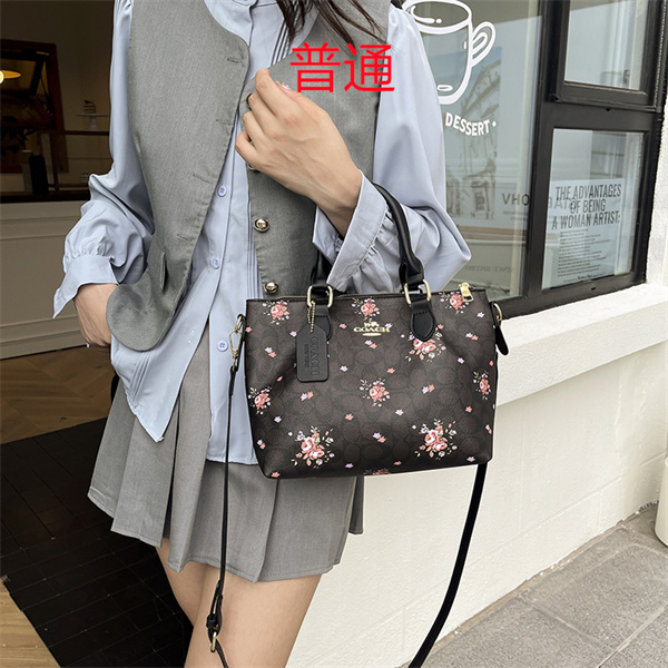 Coach small bag-1811