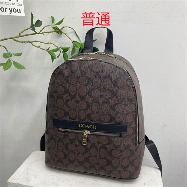 Coach small bag-1723