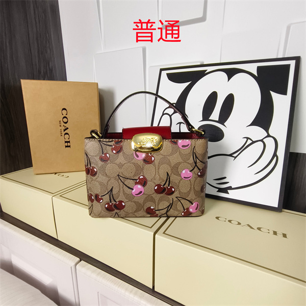 Coach small bag-1757