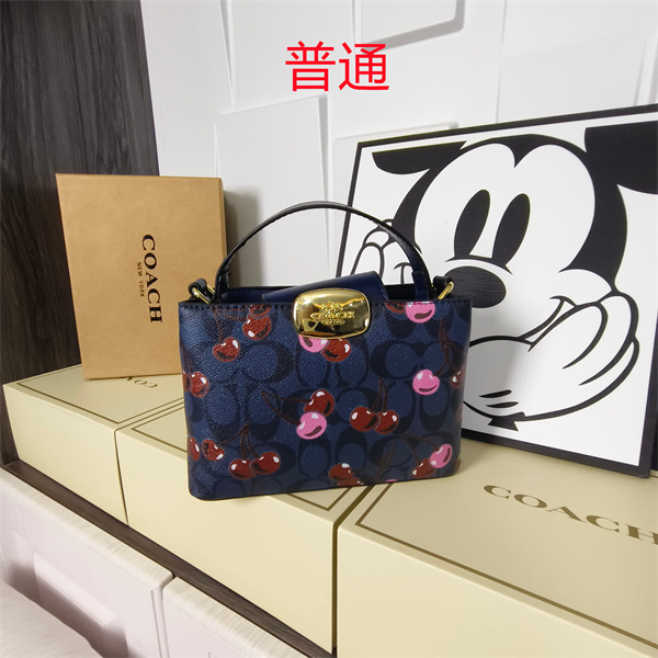 Coach small bag-1758