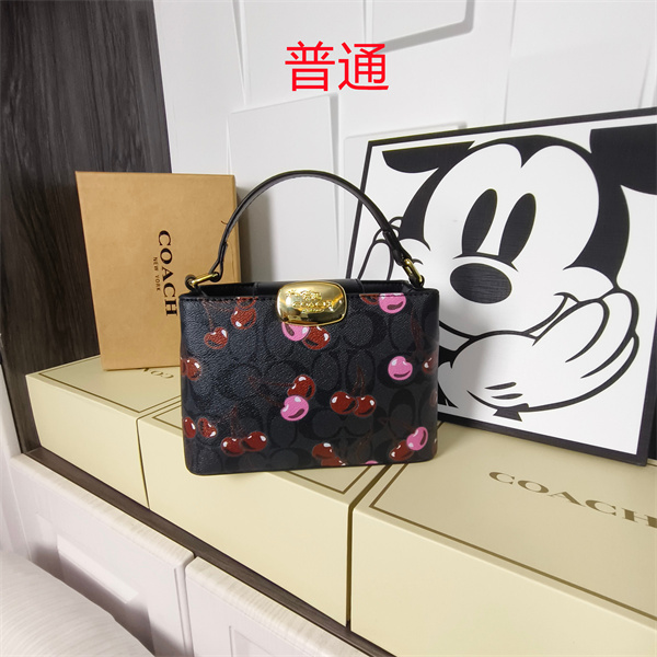 Coach small bag-1761