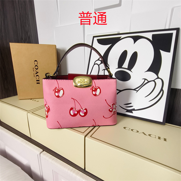 Coach small bag-1762