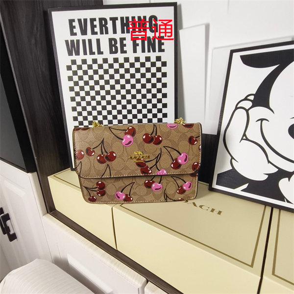 Coach small bag-1765