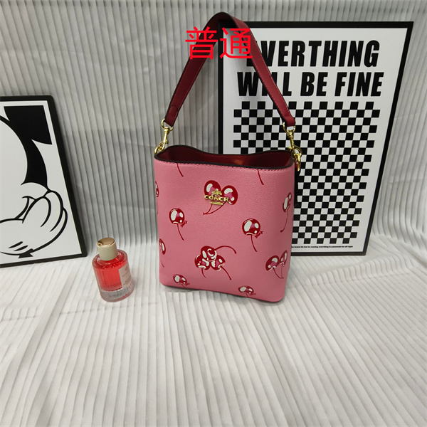 Coach small bag-1769