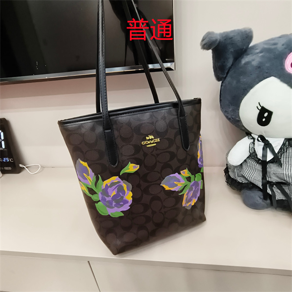 Coach small bag-1774