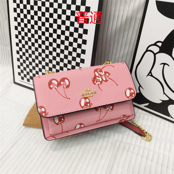 Coach small bag-1780