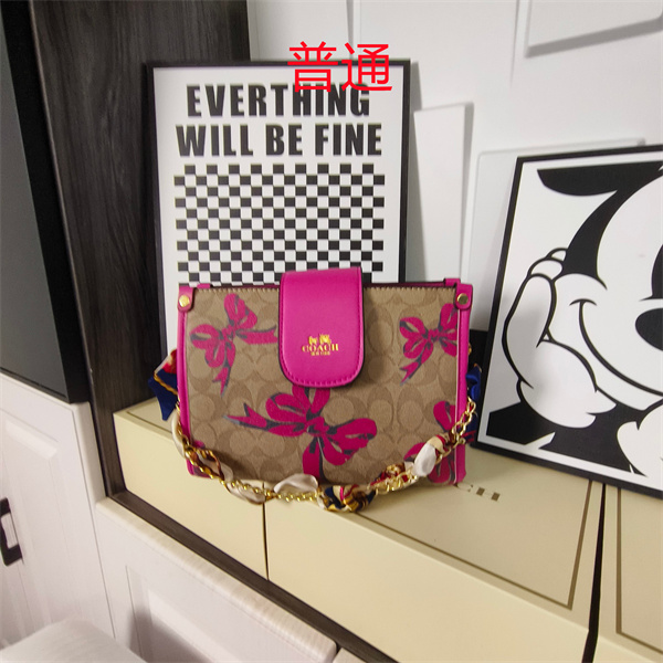 Coach small bag-1787