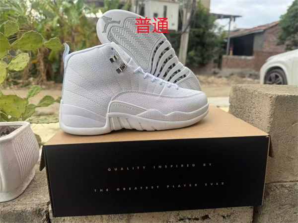 Jordan12-M-0057