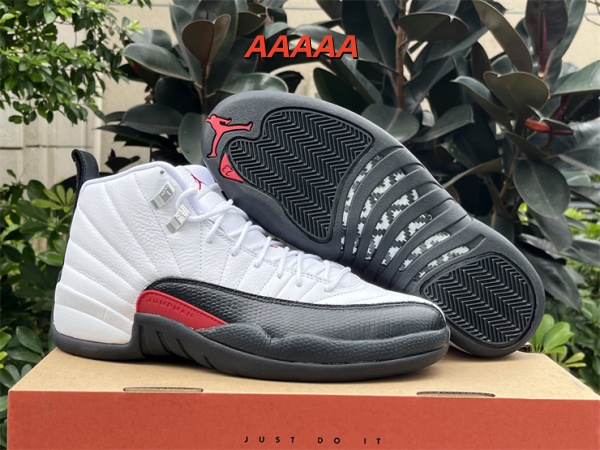Jordan12(AAAAA)-M-0013