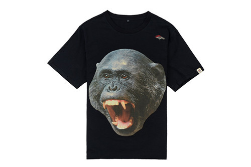 NFL T-shirt-M(10)-146