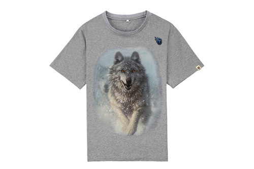 NFL T-shirt-M(10)-357