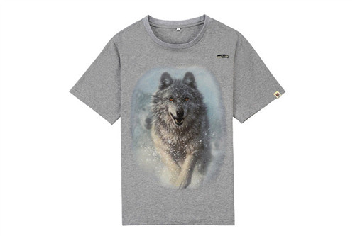 NFL T-shirt-M(10)-360