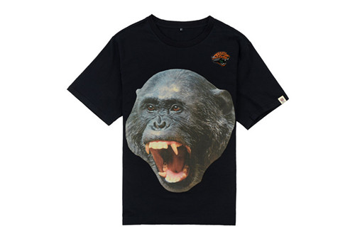 NFL T-shirt-M(10)-185