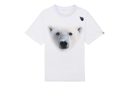 NFL T-shirt-M(10)-188