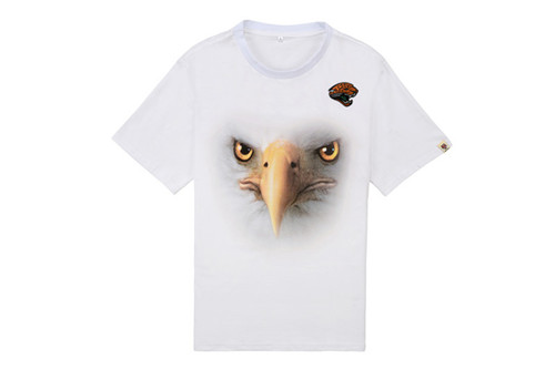 NFL T-shirt-M(10)-190