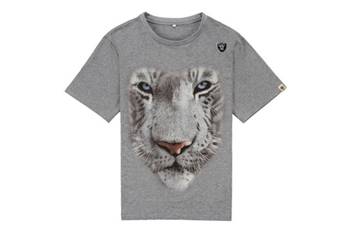 NFL T-shirt-M(10)-219