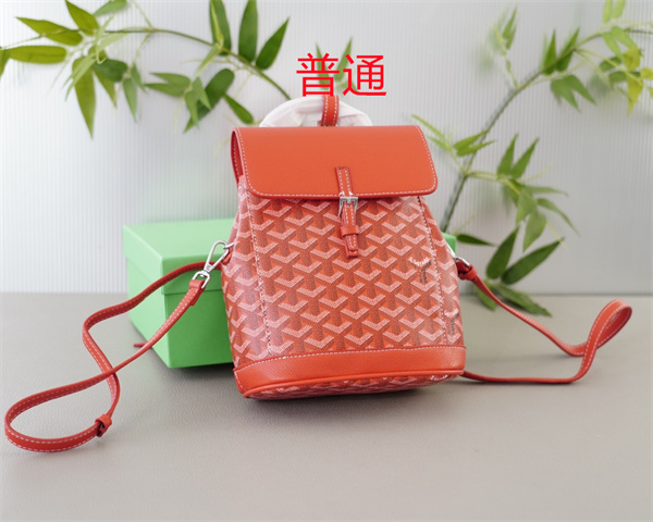 Goyard bag-0035