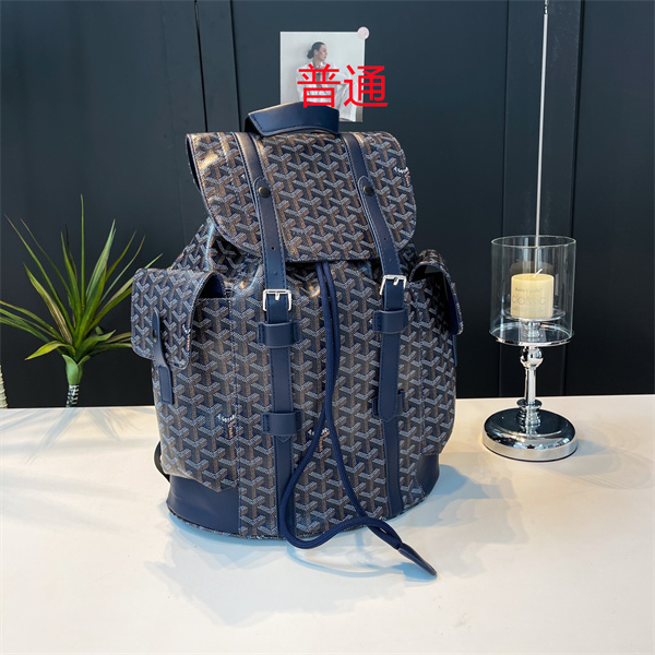 Goyard bag-0052