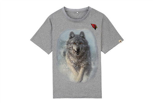 NFL T-shirt-M(10)-249