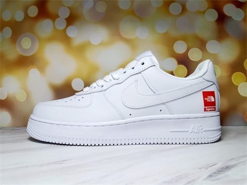 AF1 Low-W-883