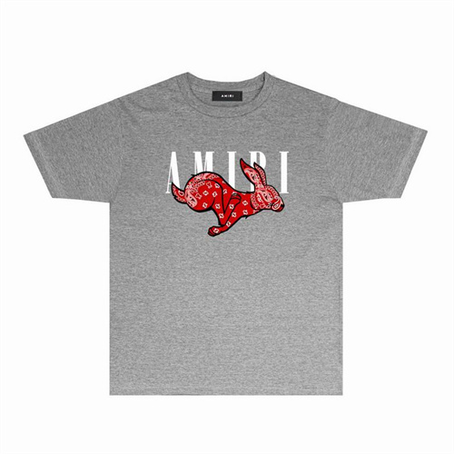 Amiri Round neck T-shirt-M(1)-1349