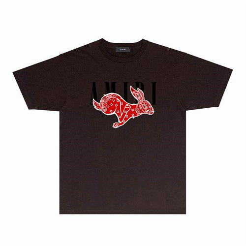 Amiri Round neck T-shirt-M(1)-1352