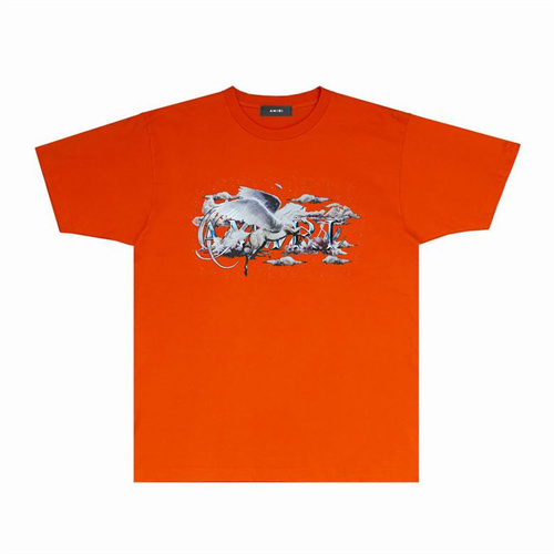 Amiri Round neck T-shirt-M(1)-1557