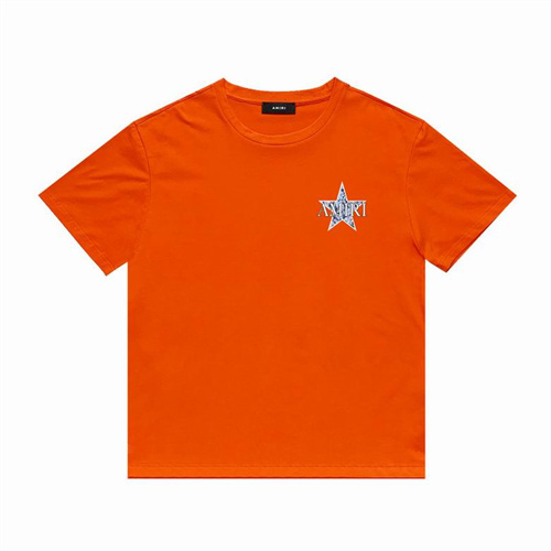 Amiri Round neck T-shirt-M(1)-0731