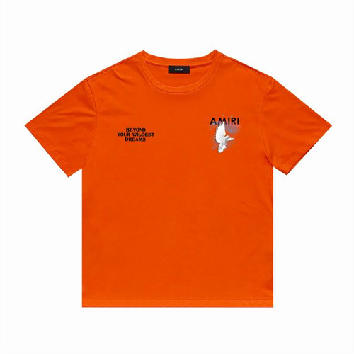Amiri Round neck T-shirt-M(1)-0766