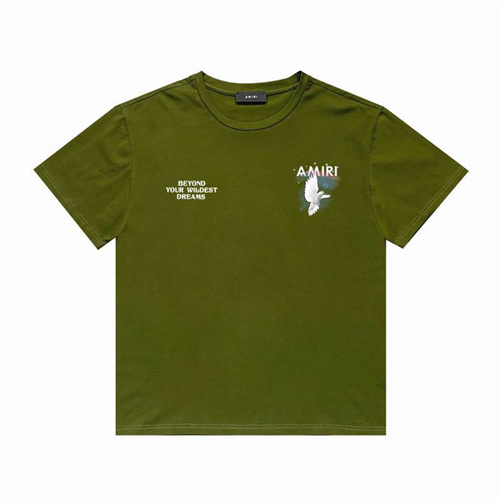 Amiri Round neck T-shirt-M(1)-0771