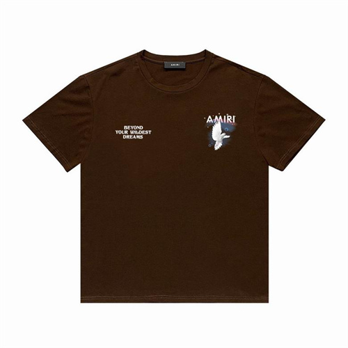 Amiri Round neck T-shirt-M(1)-0773