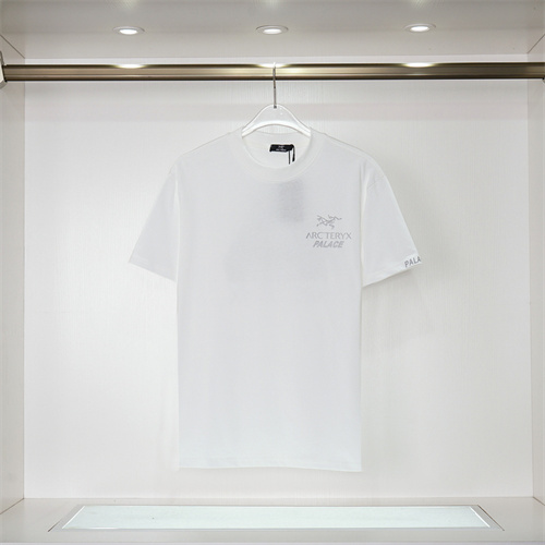 Arcteryx Round neck T-shirt-M-022