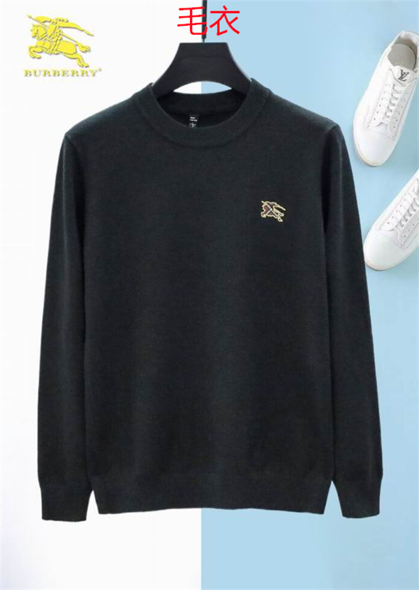 Burberry(Man)Sweaters-0256