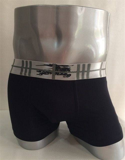 Burberry underwear-019