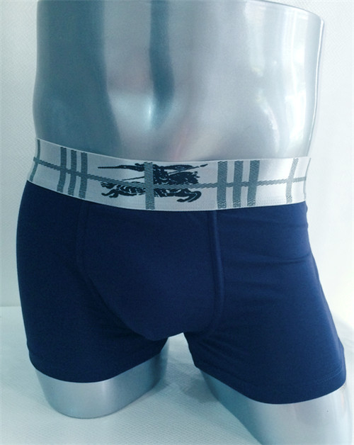 Burberry underwear-021