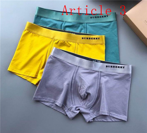 Burberry underwear-051
