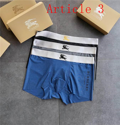 Burberry underwear-065