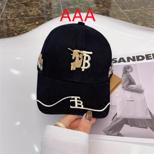 Burberry-Cap(AAA)-100